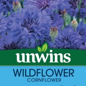 Unwins Wildflower Cornflower 180 Seeds