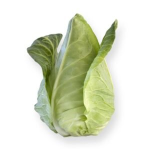 White Cabbage Sonsma RZ F1 Hybrid Seeds