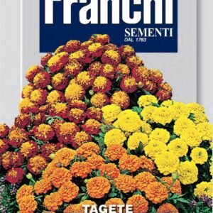 Franchi Seeds of Italy - Flower - FDBF_ 353-3 - Marigold - Tagete Dwarf A Fiori Doppi Mix - Seeds