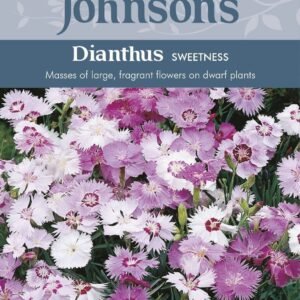 Johnsons Dianthus Sweetness 75 Seeds