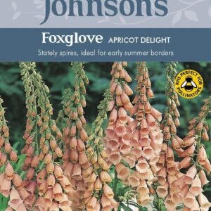 Johnsons Foxglove Apricot Delight 1000 Seeds