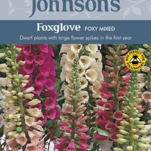 Johnsons Foxglove Foxy Mixed 1000 Seeds