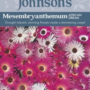 Johnsons Mesembryanthemum African Dream 300 Seeds