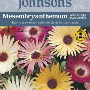 Johnsons Mesembryanthemum Livingstone Daisy Mixed 2000 Seeds