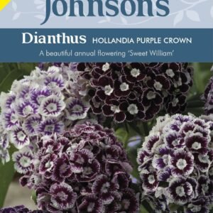 Johnsons Seeds Dianthus Hollandia Purple Crown 100 Seeds