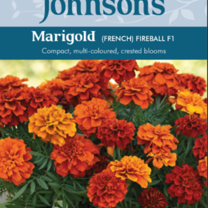 Johnsons Seeds - Flower - Marigold (French) - Fireball F1 Seeds