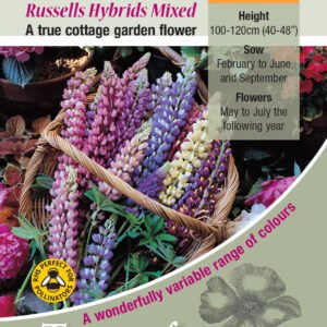Kings Seeds Lupin Russell Hybrids Mixed 70 Seeds