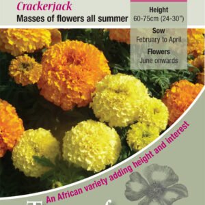 Kings Seeds Marigold Crackerjack 250 Seeds