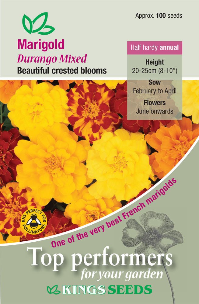 Kings Seeds Marigold French Durango Mixed 100 Seed