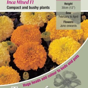 Kings Seeds Marigold Inca Mixed F1 Hybrid 30 Seeds