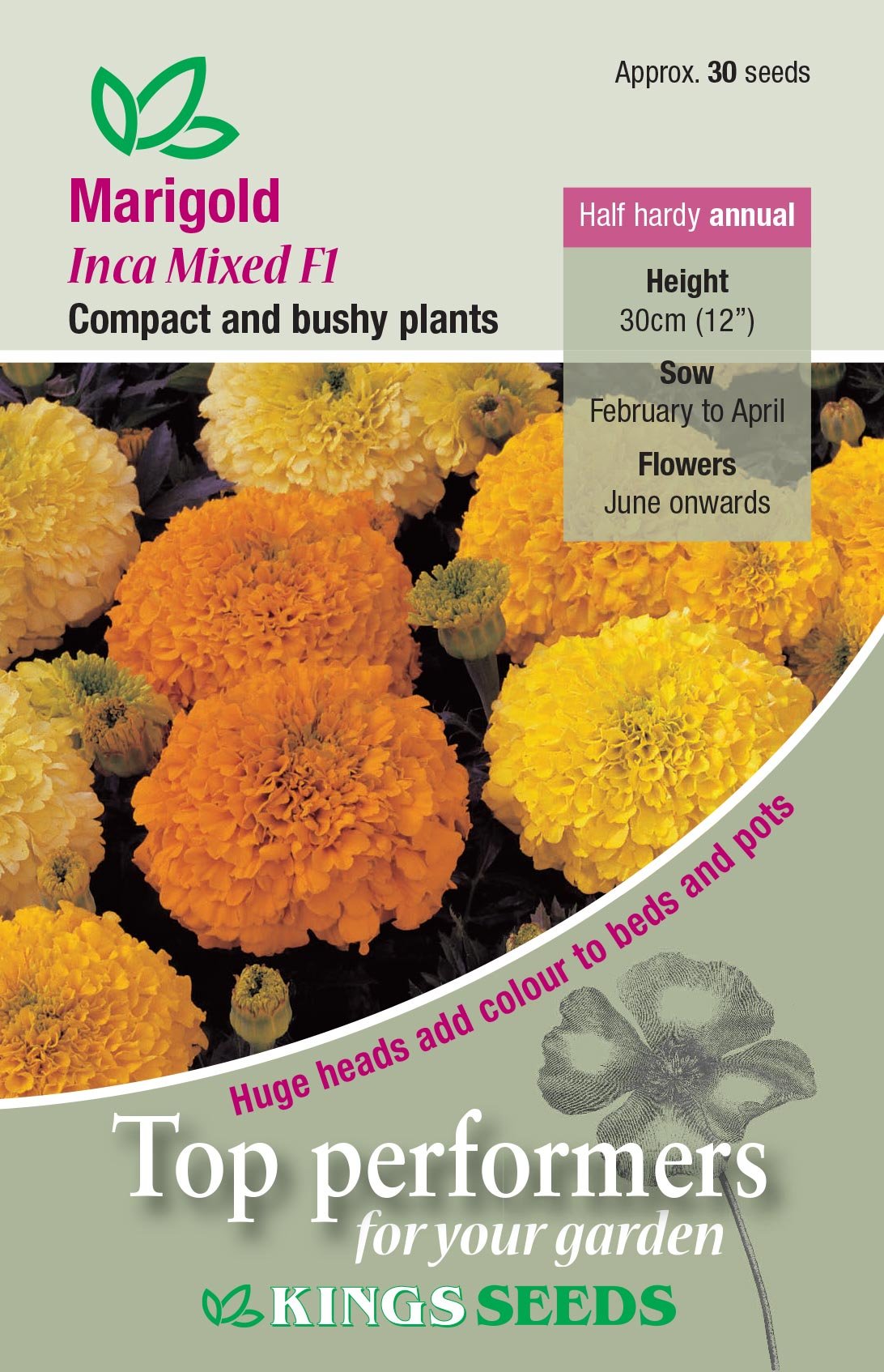 Kings Seeds Marigold Inca Mixed F1 Hybrid 30 Seeds
