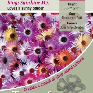 Kings Seeds Mesembryanthemum Sunshine Mixed 325 Seeds