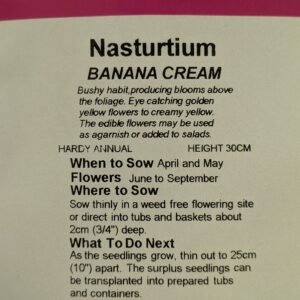 Kings Seeds Nasturtium Banana Cream 30 Seed