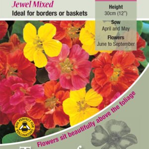 Kings Seeds Nasturtium Jewel Mixed 40 Seeds