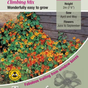 Kings Seeds Nasturtium Tall Single Mixed 40 Seeds