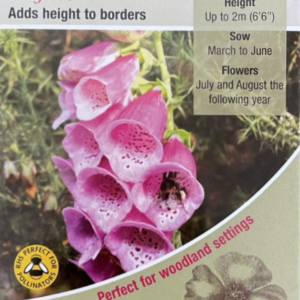Kings Seeds Wild Flower Foxglove Digitalis purpurea