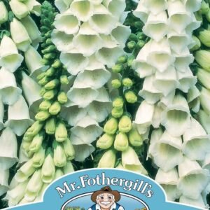 Mr Fothergills Foxglove Digitalis Alba 1000 Seeds