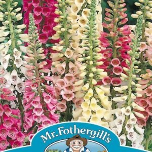 Mr Fothergills Foxglove Excelsior Mixed 2500 Seeds
