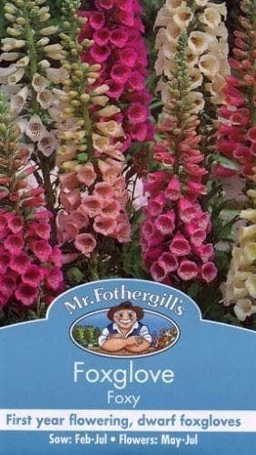 Mr Fothergills Foxglove Foxy Mixed 1000 Seeds