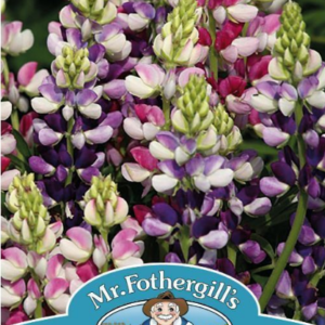Mr Fothergills Lupin Avalune Bicolour Mix Seeds