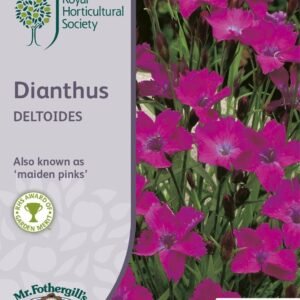 Mr Fothergills RHS Dianthus Deltoides 200 Seeds