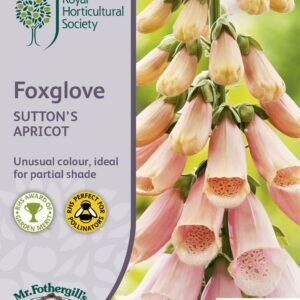 Mr Fothergills RHS Foxglove Sutton's Apricot 2500 Seeds