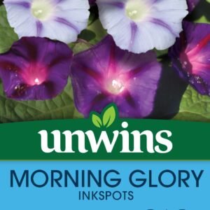 Unwins Morning Glory Inkspots 35 Seeds