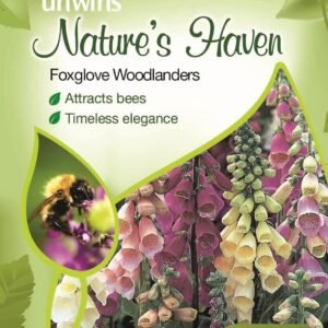 Unwins Nature's Haven Foxglove Woodlanders 500 Seeds